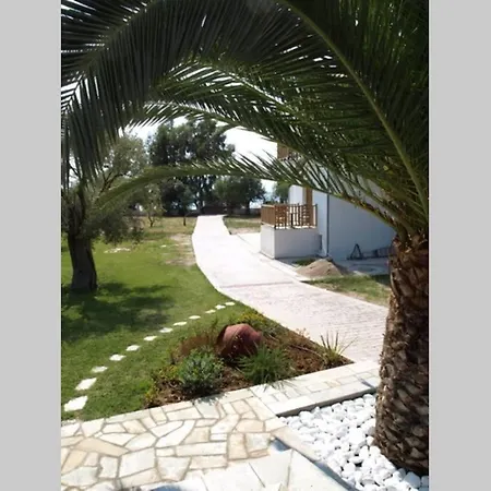 Zoe * Άφησσος